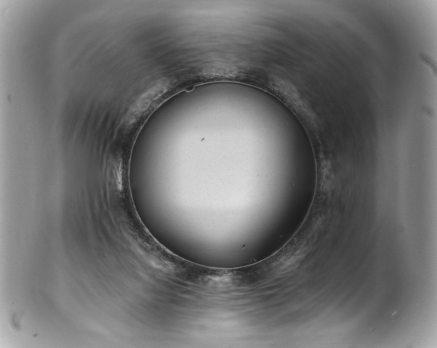 X0000102310068200807251449