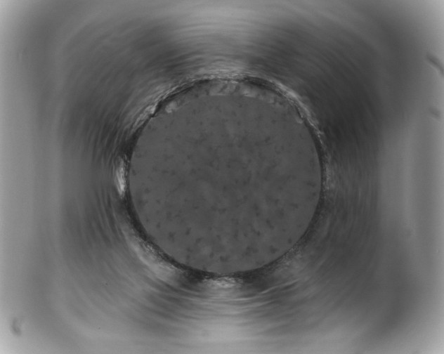 X0000102310069200807251449