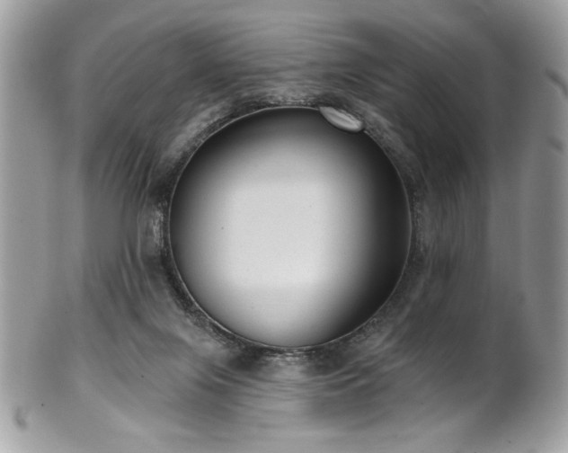 X0000102310071200807251449