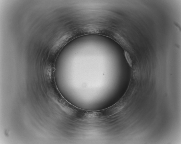 X0000102310072200807251449