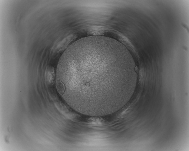 X0000102310073200807251449