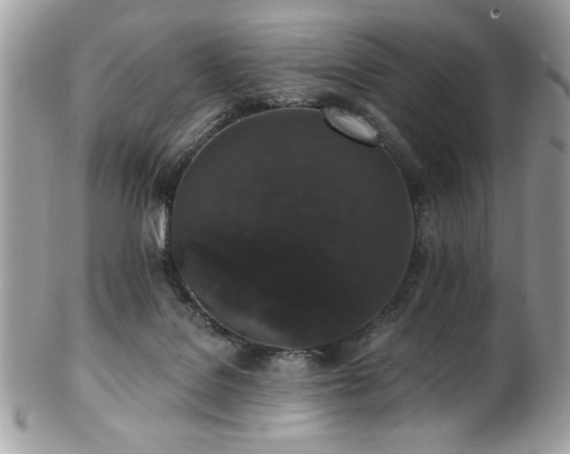 X0000102310076200807251449