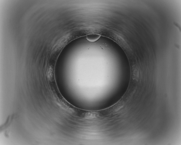 X0000102310077200807251449