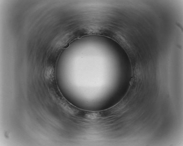 X0000102310079200807251449