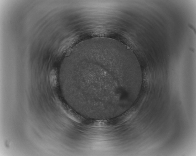 X0000102310080200807251449