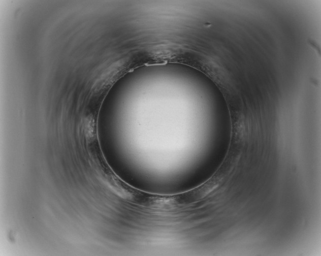 X0000102310081200807251449