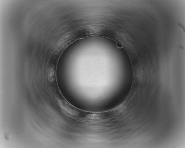 X0000102310082200807251449