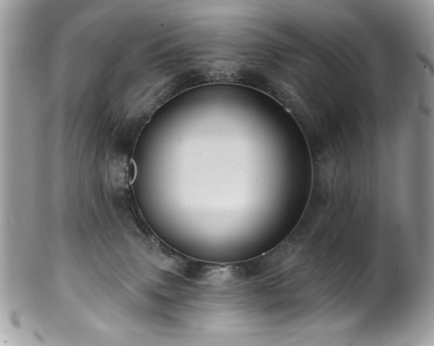 X0000102310083200807251449