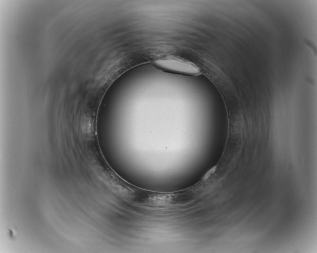 X0000102310084200807251449