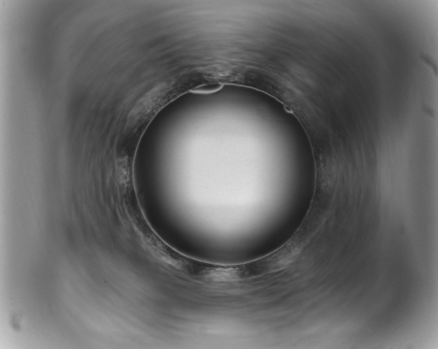 X0000102310085200807251449