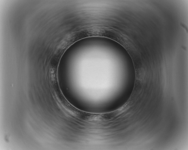 X0000102310086200807251449