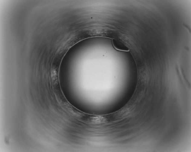 X0000102310087200807251449