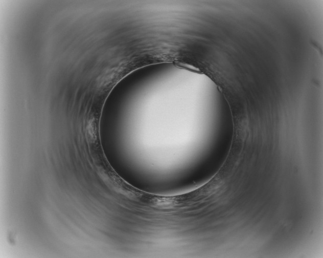 X0000102310088200807251449