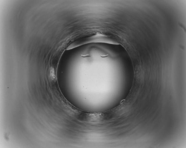 X0000102310089200807251449