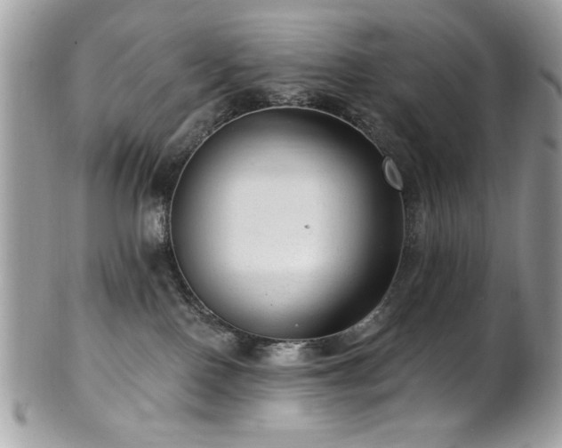 X0000102310090200807251449