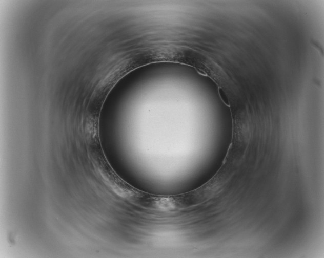 X0000102310091200807251449