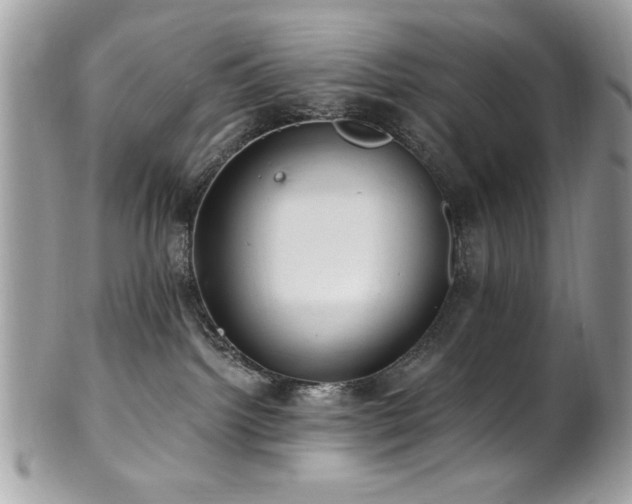 X0000102310092200807251450