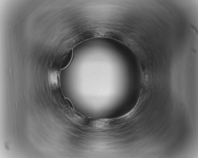 X0000102310094200807251450