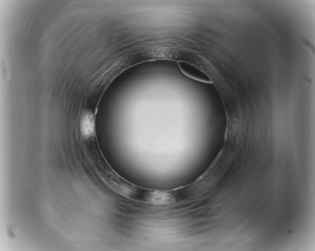 X0000102310095200807251450