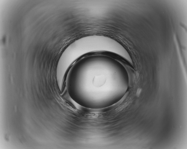 X0000102310096200807251450