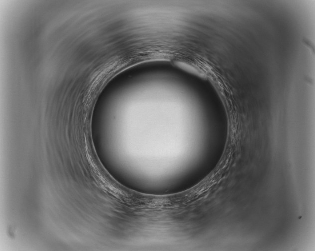 X0000102310097200807251449