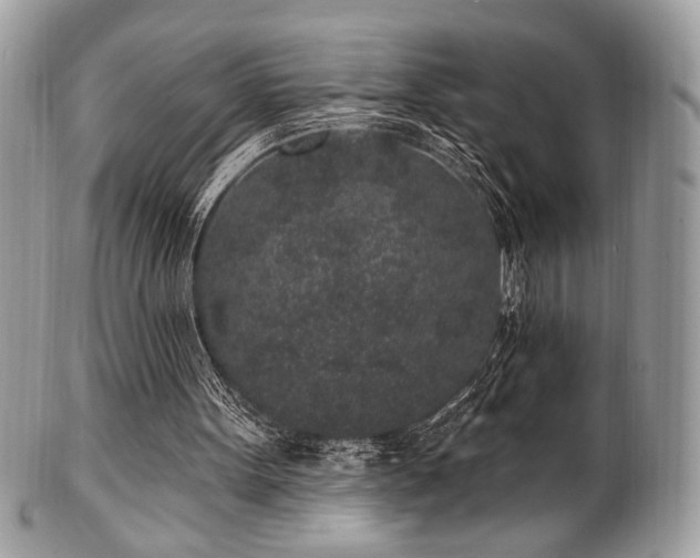 X0000102310099200807251449