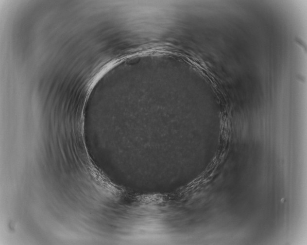 X0000102310100200807251449