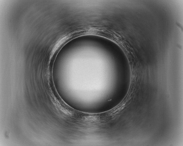 X0000102310102200807251449