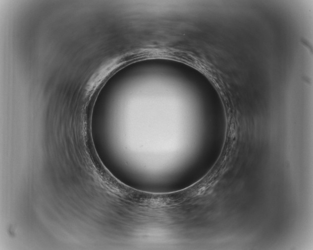 X0000102310103200807251449