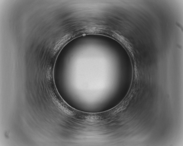 X0000102310105200807251449