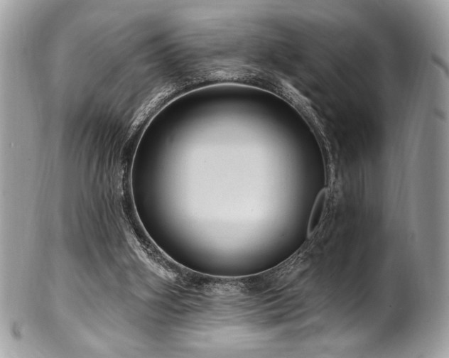 X0000102310106200807251449