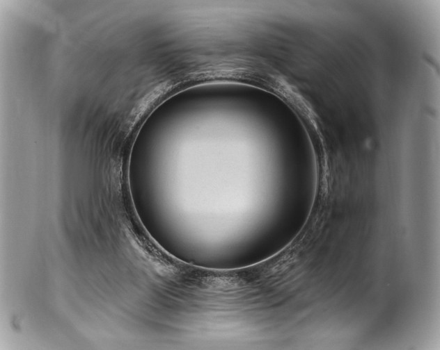 X0000102310107200807251449