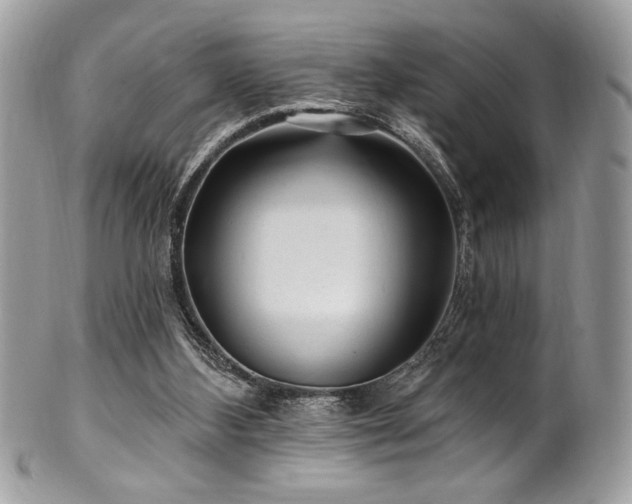 X0000102310108200807251449