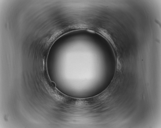 X0000102310109200807251449