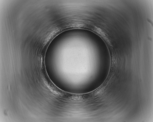 X0000102310110200807251449