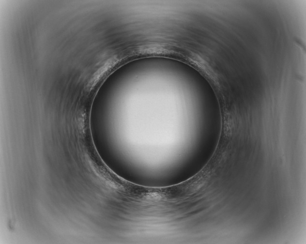 X0000102310111200807251449