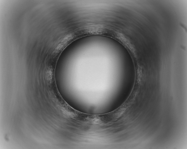 X0000102310113200807251448