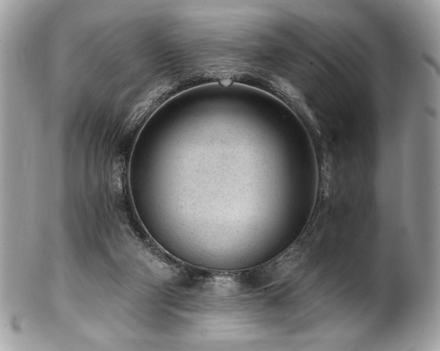 X0000102310114200807251448