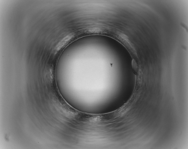 X0000102310116200807251448