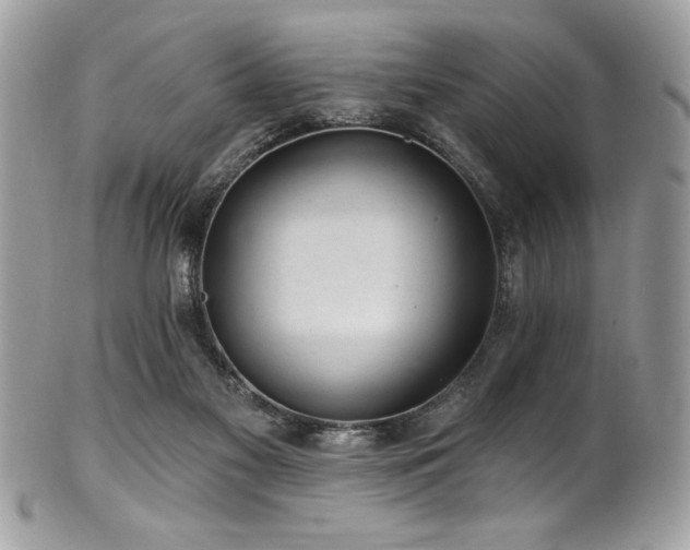 X0000102310117200807251448