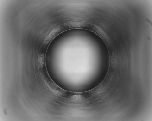 X0000102310119200807251448