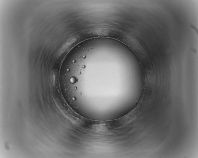 X0000102310120200807251448