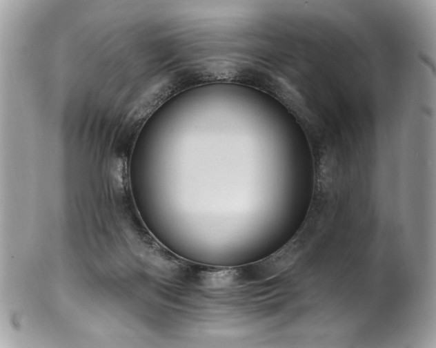 X0000102310122200807251448