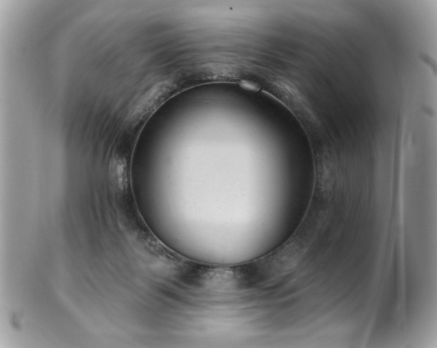 X0000102310123200807251448