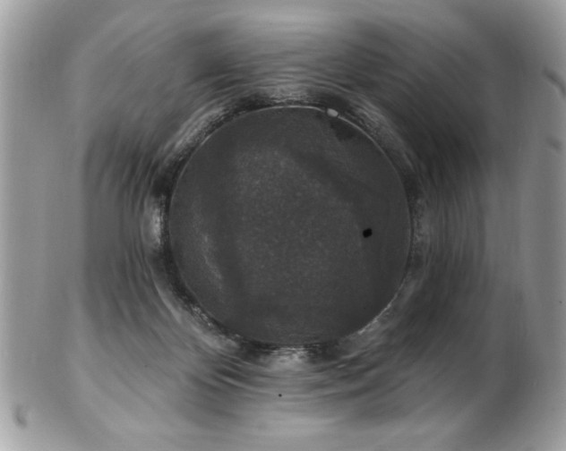 X0000102310124200807251448