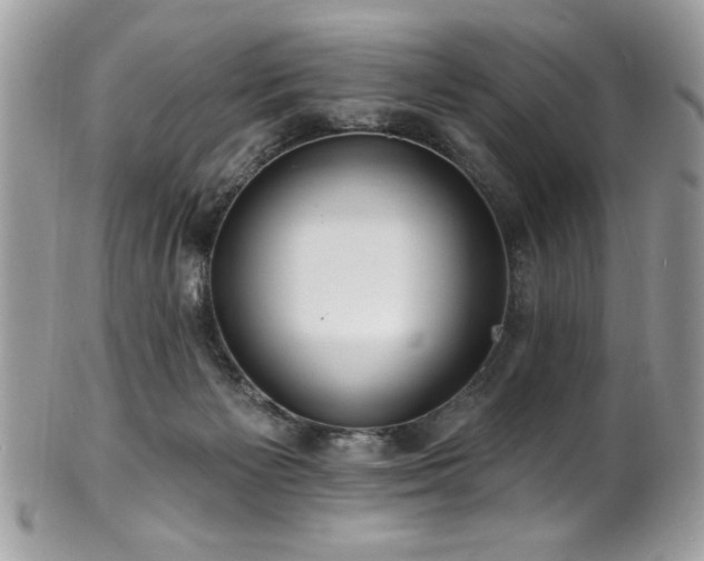 X0000102310125200807251448