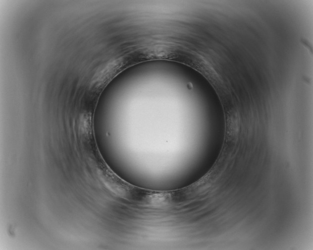 X0000102310126200807251448