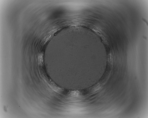 X0000102310127200807251448