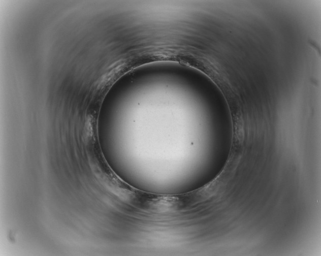 X0000102310128200807251448