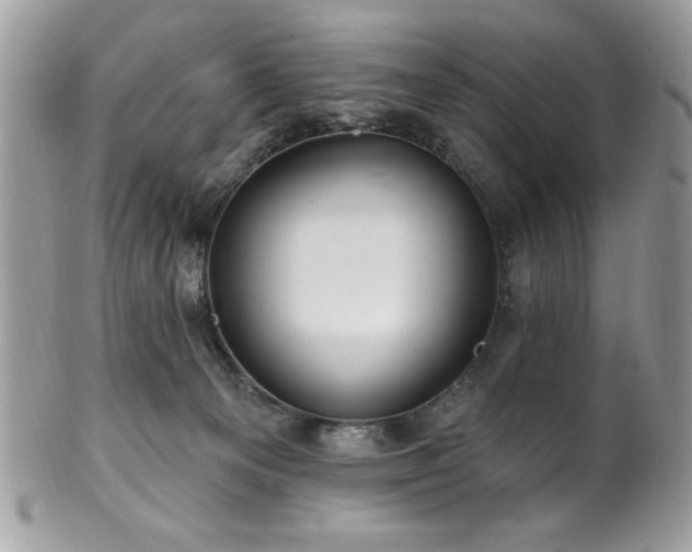 X0000102310129200807251448